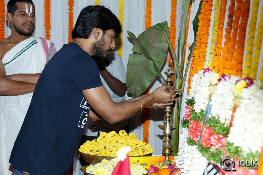 Gabbar-Singh-2-Movie-Opening